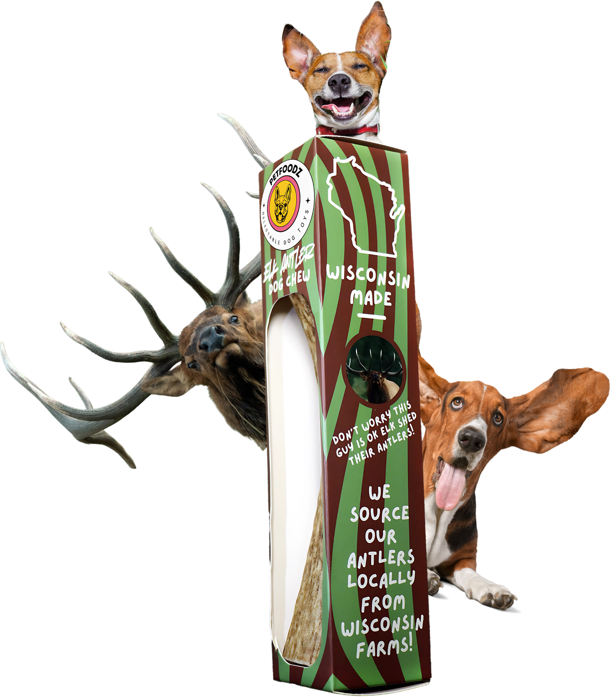 Petfoodz elk antler chew box surrounded by two happy dogs and a bull elk
